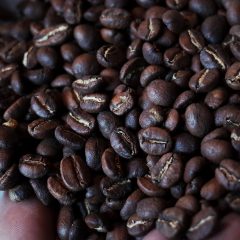 浅煎りのコーヒー豆で美味しい抽出方法