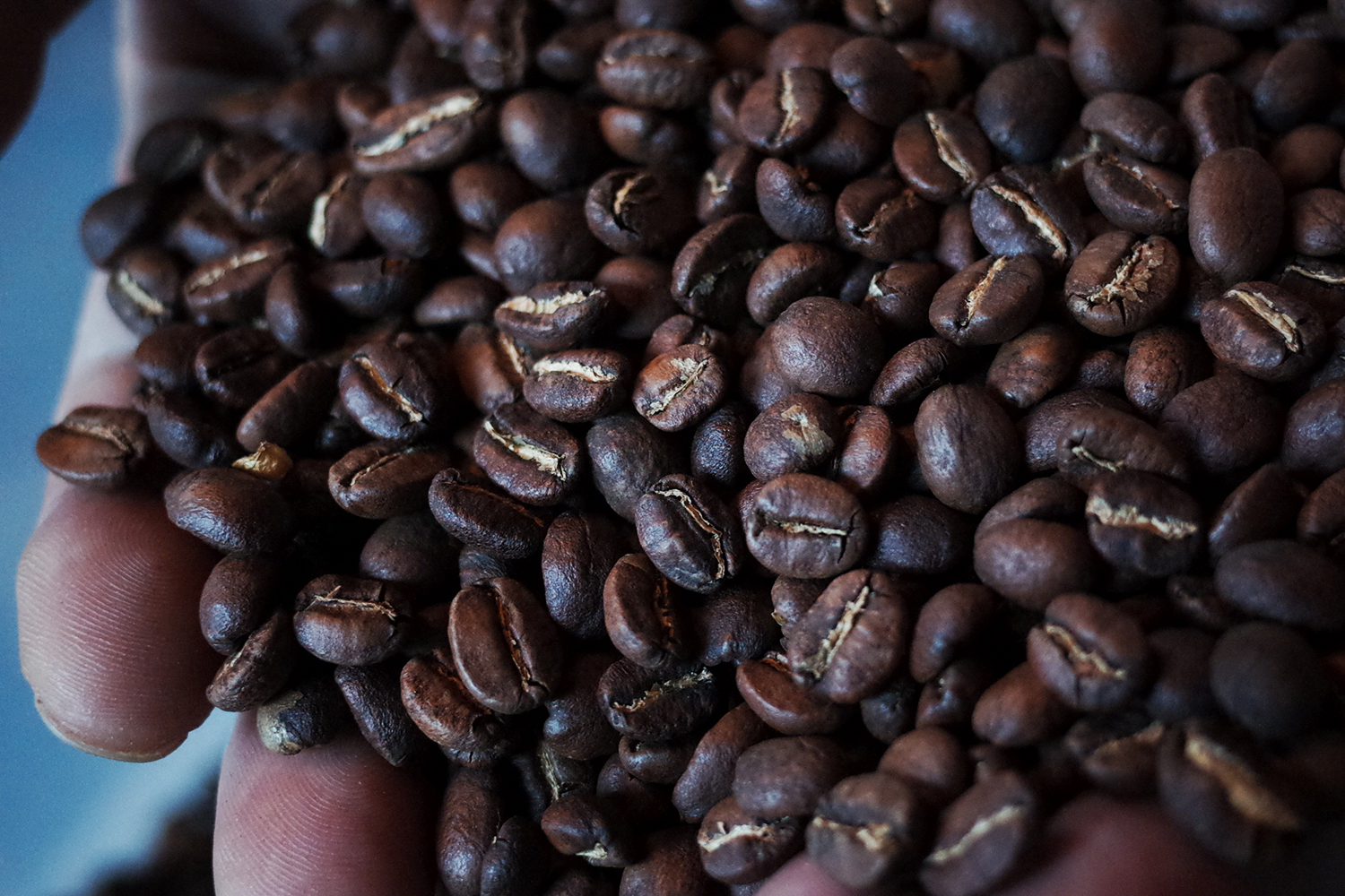 浅煎りのコーヒー豆で美味しい抽出方法 Gita Web Magazine